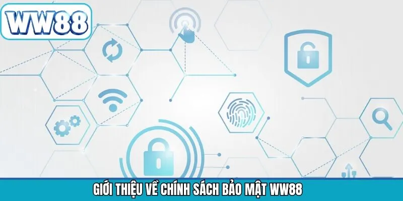 Giới thiệu tổng quát về chính sách bảo mật tại WW88
