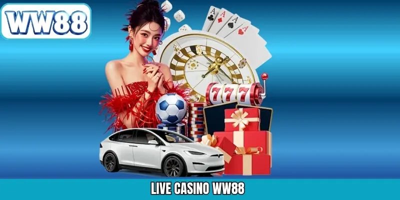 Live Casino WW88 - Khám Phá Địa Điểm Cá Cược Hot Hit