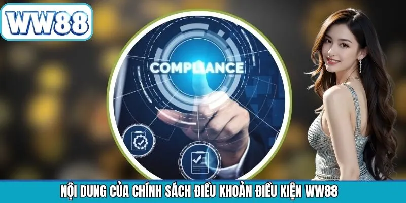 Cập nhật chi tiết điều khoản điều kiện tại WW88