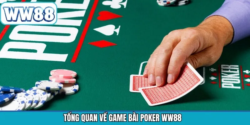 Đôi nét cơ bản về tựa game Poker cuốn hút